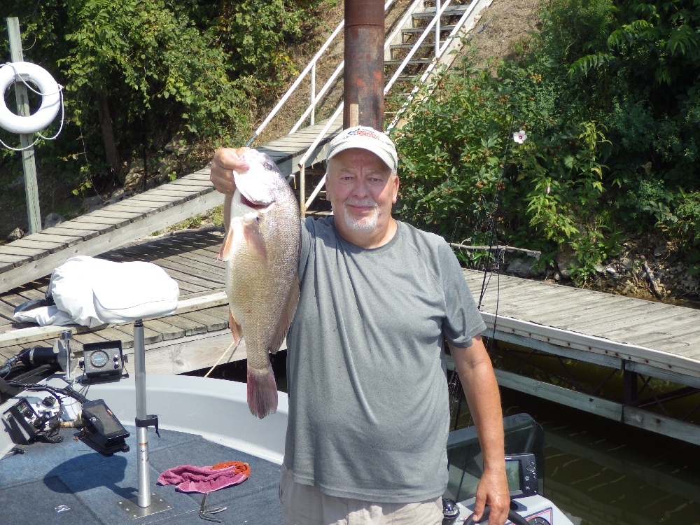  Freshwater Drum Details - LA Fish Finder