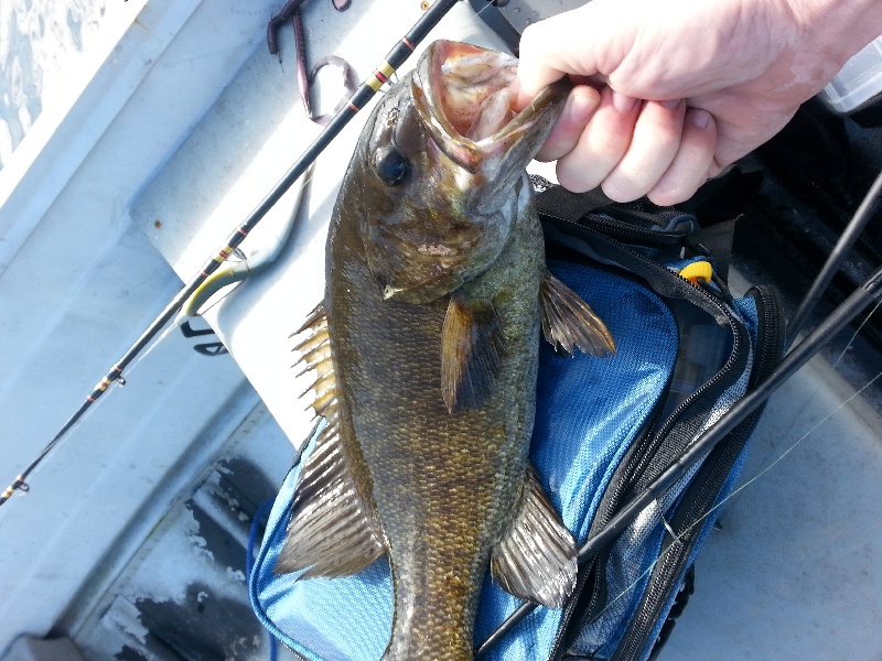 Smallie