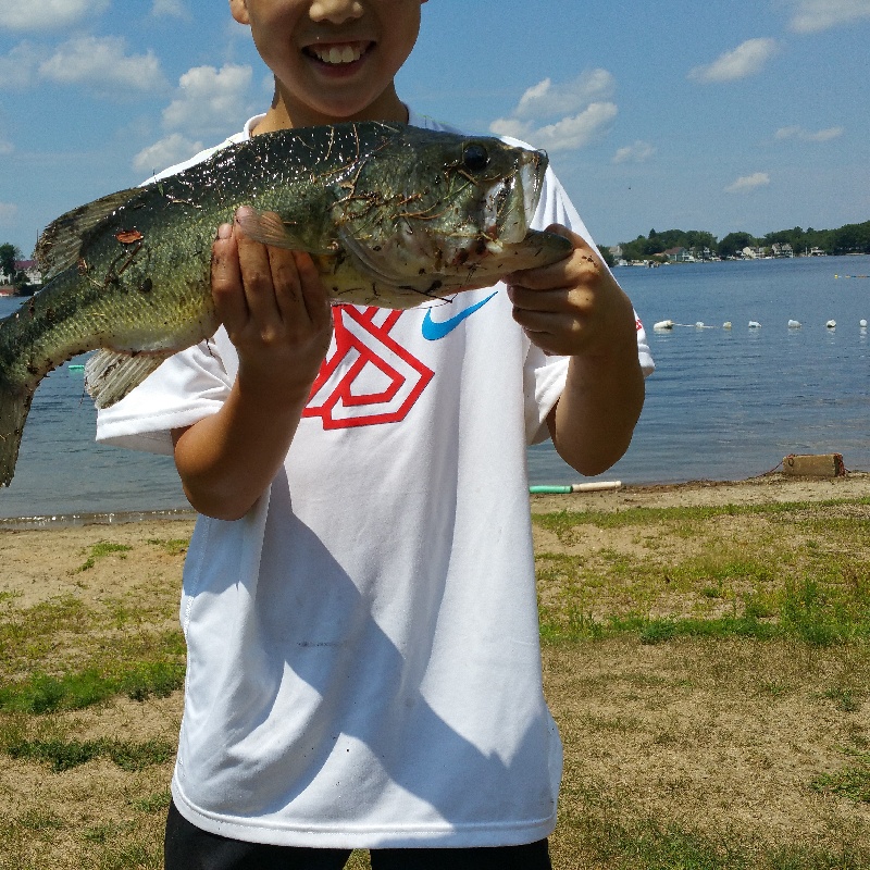 Big Bass in Webster Mass