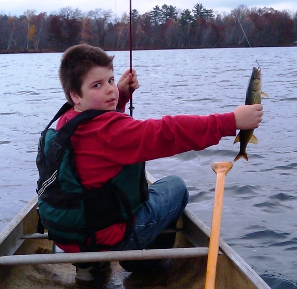 Pickerel Galore