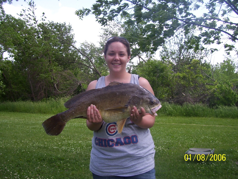  Freshwater Drum Details - LA Fish Finder